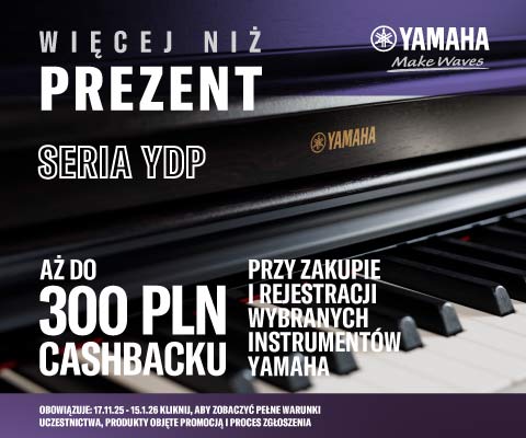 yamaha wievej niz prezent YDP